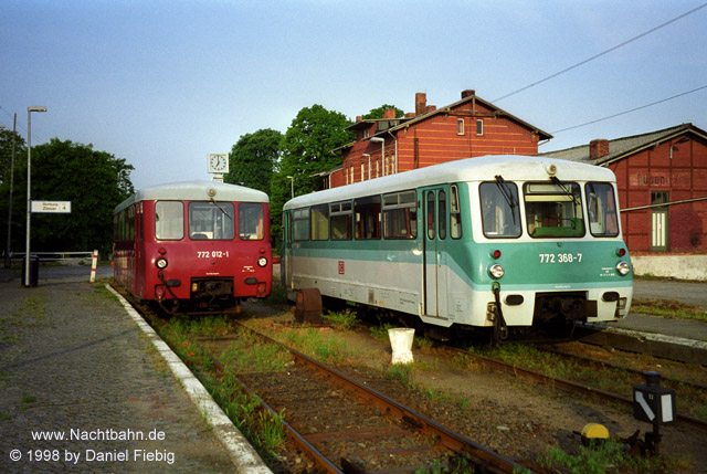 Ferkeltaxentreffen in G&uuml;sen