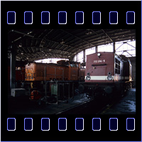 202 294 & 344 961 202 294 & 344 961